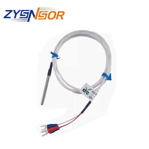 EYC出线式热电阻XR1 PT1-A-1-4-50-1M-TPFE-316 管径4MM 管长50mm