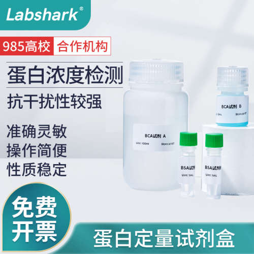 比克曼生物BCA法蛋白定量试剂盒实验室蛋白浓度测定比色检测500T