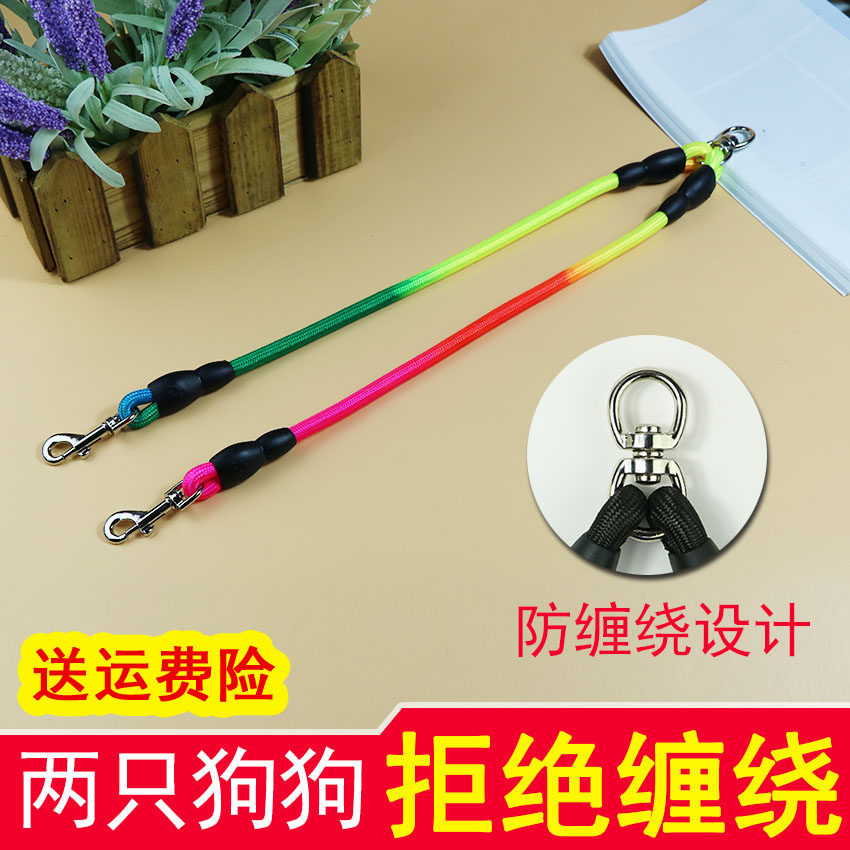 狗一拖二两只牵引绳头泰迪宠佰嘉