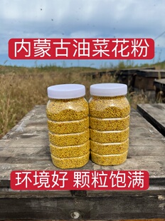 內(nèi)蒙古純油菜蜂花粉食用天然油菜純花粉蜂花粉500克未破壁 包郵