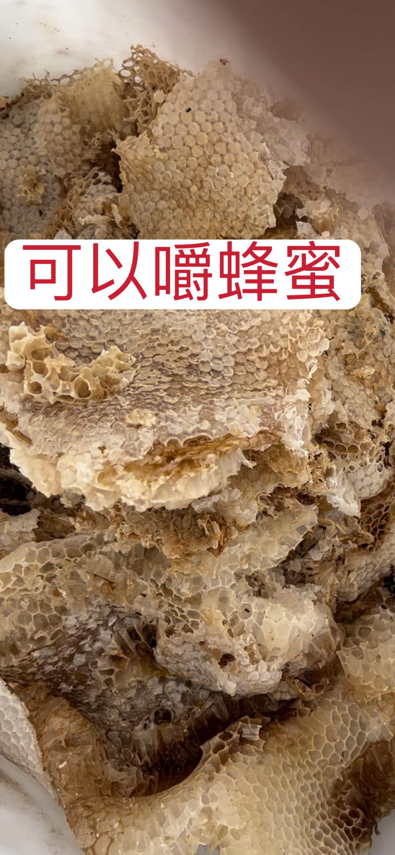 蜂场现割蜂巢蜜老蜂窝新鲜土蜂蜜纯正天然野生农家自产自销冬蜜窝