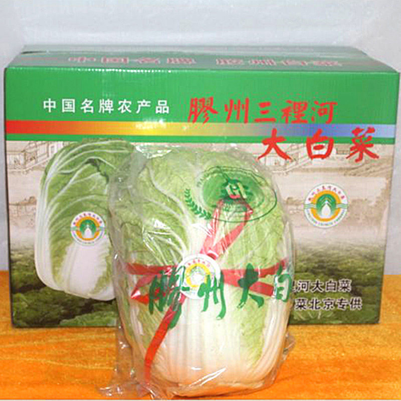 山东大白菜胶州大白菜