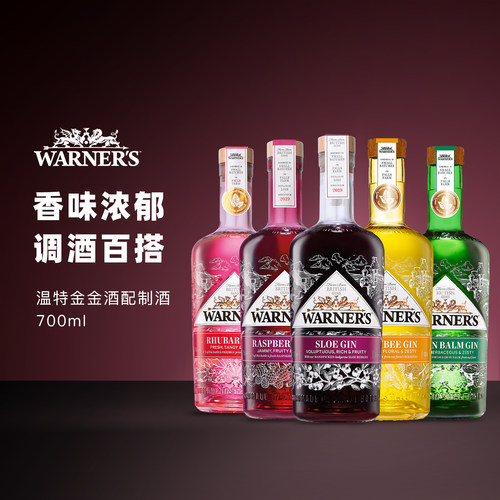 洋酒原瓶进口温特金黑配制酒琴酒