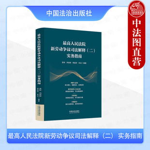 正版 最高人民法院新劳动争议司法解释二实务指南 吴彬 劳动争议法律风险合规指引司法解释规定法律法规典型案例实务解析 中国法治