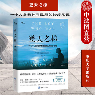 一个儿童精神科医师 诊疗笔记 儿童精神科医生儿童创伤治疗参考书 2021新 心理学知识 鹿鸣心理 登天之梯 社 正版 重庆大学出版