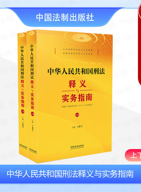 法制刑法释义与实务指南上下册