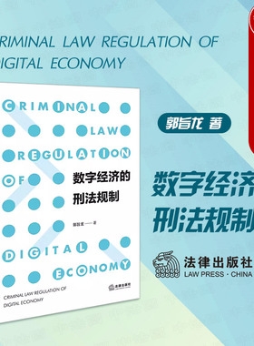 正版 2024新 数字经济的刑法规制 郭旨龙 数字经济安全风险识别机制类型化规律风险防范刑法研究 侵犯虚拟货币刑法判别 法律出版社