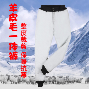 整皮羊毛裤皮毛一体内胆男真皮皮裤中老年棉裤羊剪绒保暖羊皮裤子