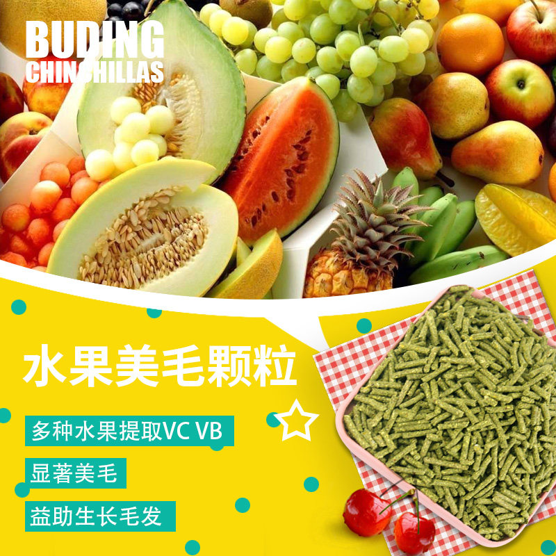 【傻傻龙猫】100g 小宠龙猫 果蔬美毛补充颗粒粮