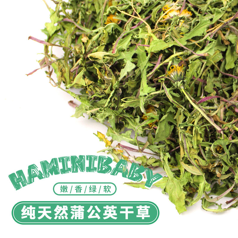 补丁龙猫兔子天竺鼠蒲公英干草 2025年头茬 主粮食物牧草
