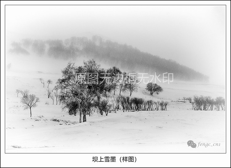 原创摄影作品-坝上雪墨高清数码电子照片JPG图片素材黑白水墨风光