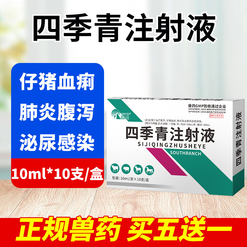 兽药四季青注射液仔猪血痢拉稀兽用猪牛羊马腹泻泌尿感染肺炎专用