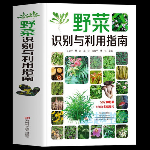 野菜识别与利用指南正版书籍
