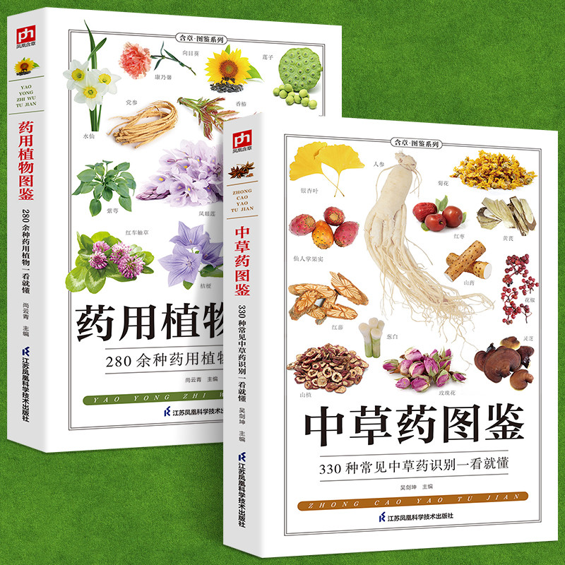 铜版纸脉经语释译注中医古籍名著