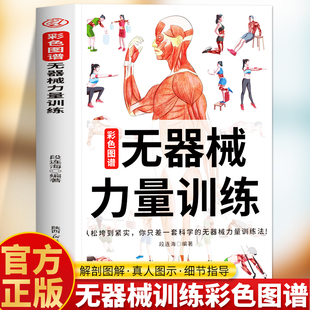 无器械力量训练彩色图谱正版 居家锻炼徒手健身教程增肌减脂健美人体肌肉结构图谱肌肉力量训练完全图解健身书籍 力量训练解剖图谱