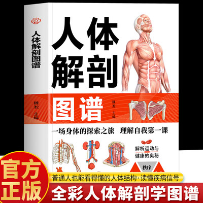 人体解剖图谱正版 奈特人体解剖学图谱结构和功能图谱 人体结构彩色图谱临床医学肌肉骨骼全彩局部解剖学人体骨骼结构书生理学书籍