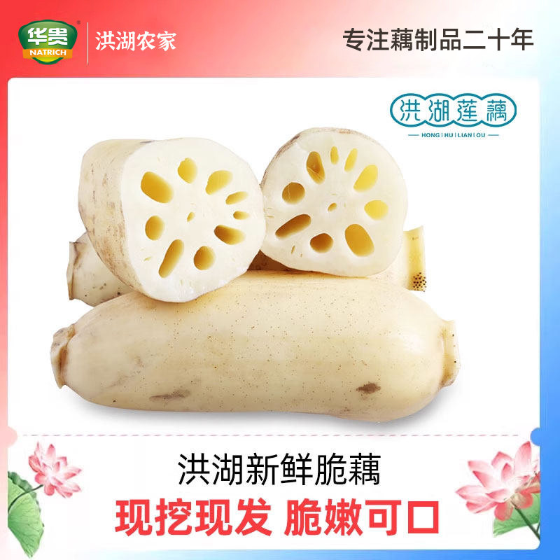 洪湖莲藕新鲜脆藕生吃凉拌炒藕湖北莲藕水果藕嫩藕新花藕包邮