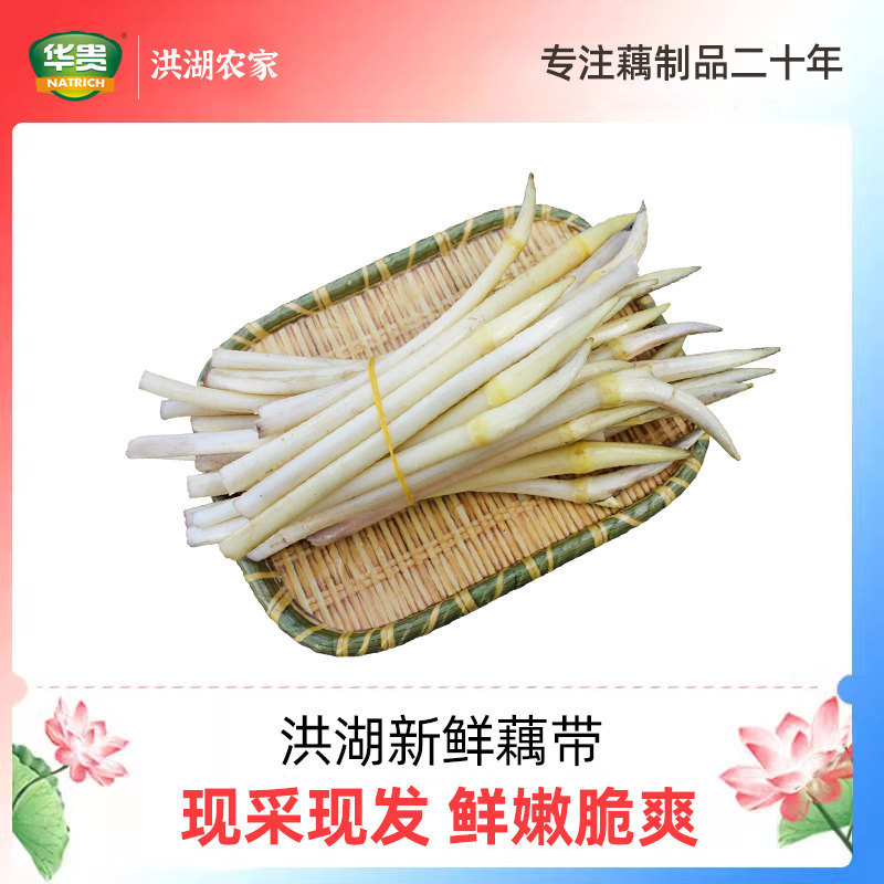 洪湖新鲜藕带现挖现发农家时令蔬菜嫩藕条藕尖藕肠藕占湖北特产