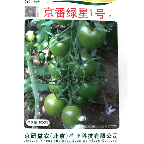 京番绿星1号番茄种子 冬春温室播绿色樱桃小番茄柿子种子口感酸甜