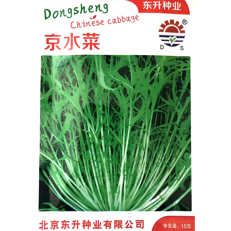 东升京水菜种子 春秋播叶柄长叶片小长势强芥菜耐热耐寒蔬菜种子