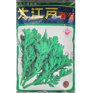 大江户中叶春菊茼蒿种子 春夏秋播皇帝菜日本中叶茼蒿籽香甜味浓