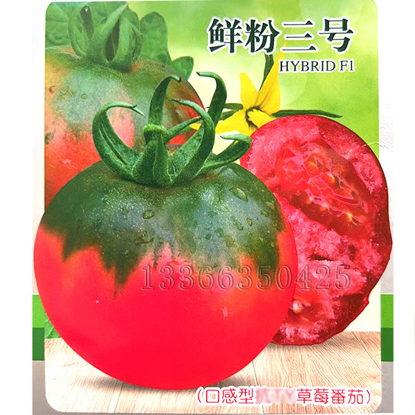 鲜粉三号番茄种子 早春越冬保护地播草莓番茄铁皮柿子种子口感好
