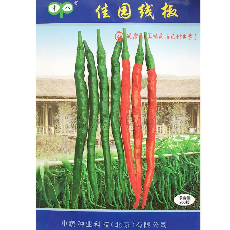 佳园线椒种子 春播辣椒种子辣味香浓深绿色干鲜两用家庭装蔬菜籽