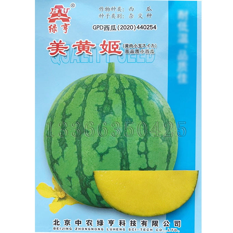 美黄姬西瓜种子 春秋播早熟花皮黄瓤有籽小西瓜籽脆甜多汁水果籽