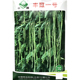 丰豇一号豇豆种子 春夏秋播早熟浅绿条豆角菜豆种子纤维少蔬菜籽