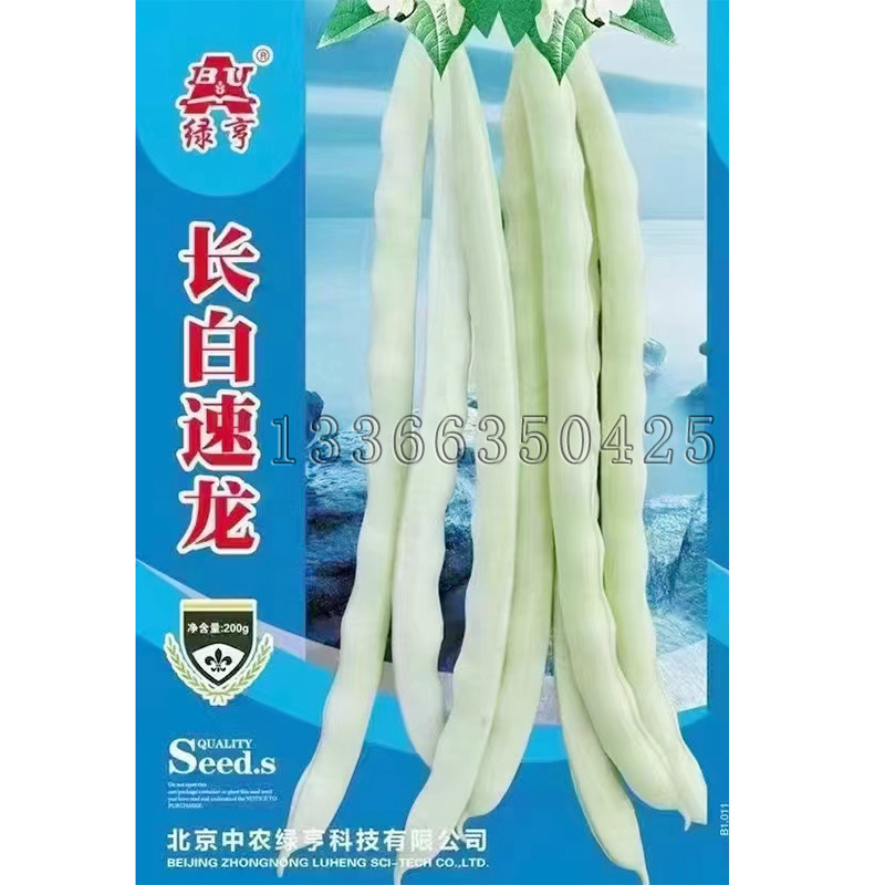 长白速龙架豆种子 春秋播早熟四季豆菜豆籽绿白肉厚无纤维结荚多,农用物资,蔬菜种子/种苗,淘宝优惠券,粉丝福利购,淘宝优惠卷