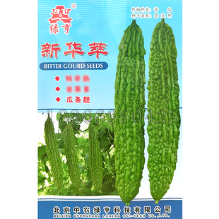 新华萃苦瓜种子 春秋播早熟雌花多肉厚质脆翠绿色凉瓜籽蔬菜种子