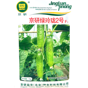 京研绿玲珑2号黄瓜种子 春夏秋播早熟旱黄小青瓜籽浅绿瓤质脆味浓