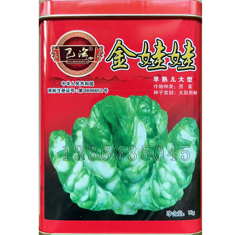 秋播早熟颜色白发儿早多儿菜种子