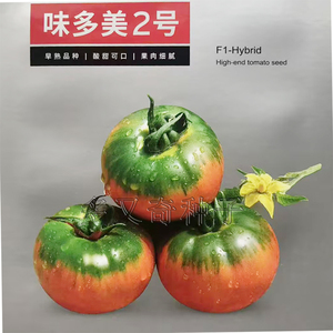 味多美2号番茄种子 冬春栽培早熟粉果圆形水果西红柿籽酸甜口感好