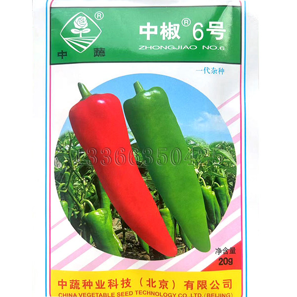 中椒6号辣椒种子 春秋露地保护地中早熟粗牛角椒种子耐贮运辣椒籽
