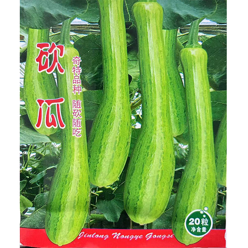 砍瓜种子 春播菜嫩南瓜籽瓜肉细腻皮薄香糯可口奇瓜异果蔬菜种子