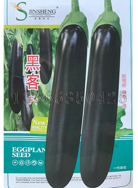 黑客茄子种子 春播早熟紫黑色长茄种子光滑油亮绿把绿萼片蔬菜籽