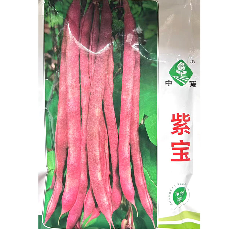 紫宝架豆种子 春播早熟紫红色四季豆菜豆种子黑籽纤维少蔬菜种子,农用物资,蔬菜种子/种苗,淘宝优惠券,粉丝福利购,淘宝优惠卷