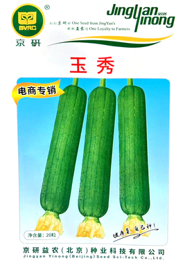 玉秀丝瓜种子 春播早熟瓜皮绿色油亮圆筒形水瓜种子味浓蔬菜种子
