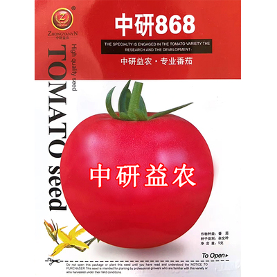 中研868番茄种子 春播粉红大果西红柿种子果实均匀萼片美观蔬菜籽