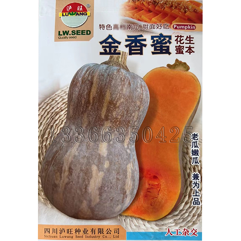 金香蜜花生南瓜种子 春播早熟小型蜜本南瓜籽嫩瓜老瓜都好吃甜面