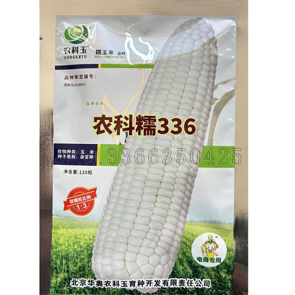 农科糯336玉米种子 春播早熟甜加糯白色糯玉米种子皮薄口感香甜糯
