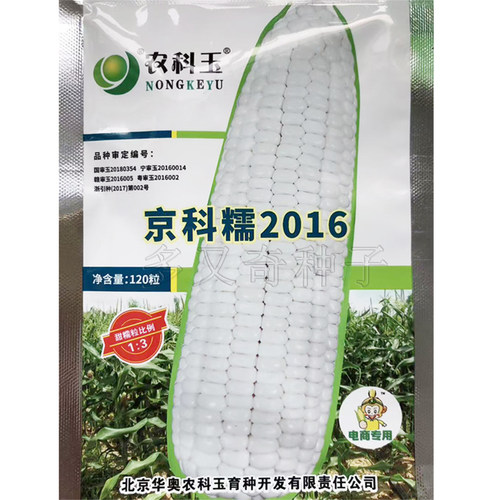 京科糯2016玉米种子 南北春播早熟白甜糯鲜食粘玉米苞谷种口感好