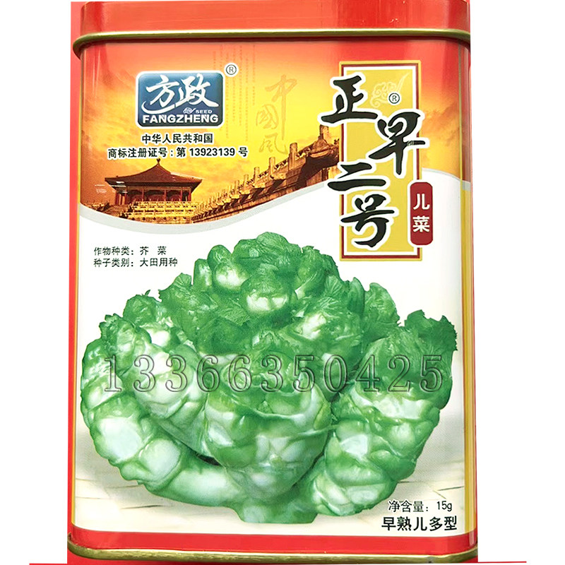 秋播早熟儿多儿大绿白色儿菜种子