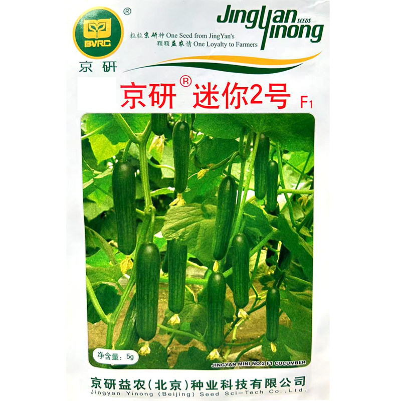 京研迷你2号黄瓜种子 春秋播迷你水果小黄瓜青瓜种子全雌绿瓤甜脆