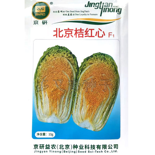 秋播中晚熟桔红心大白菜种子