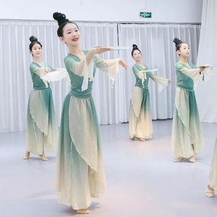 出租古典舞蹈服醉清波绿萝裙剧目舞演出服渐变纱衣套装中国舞飘逸