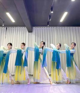 出租水袖 艺考表演服 舞蹈服古典舞演出服只此青绿惊鸿采薇飘逸甩袖