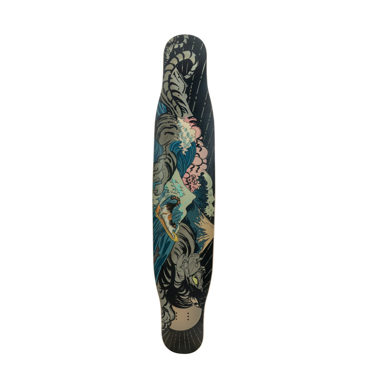 Seer专业入门长板整板平花舞板套板女生longboard