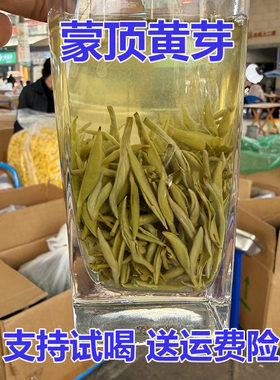 2026新黄茶明前雅安头采蒙顶黄芽